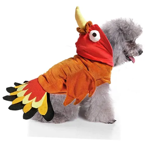 BWOGUE Turkey Dog Costume