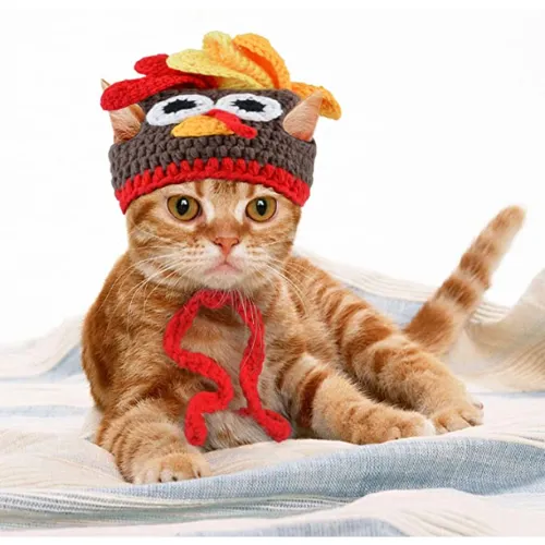 Cat Thanksgiving Costume