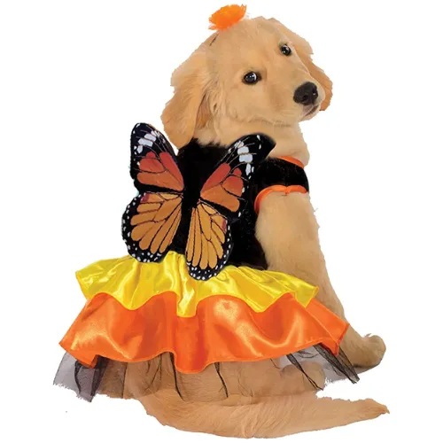 Monarch Butterfly Dog Costume