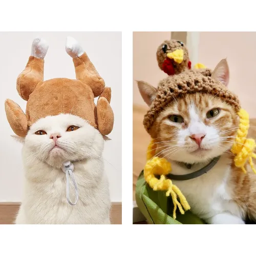 Turkey Design Pet Hat Cat