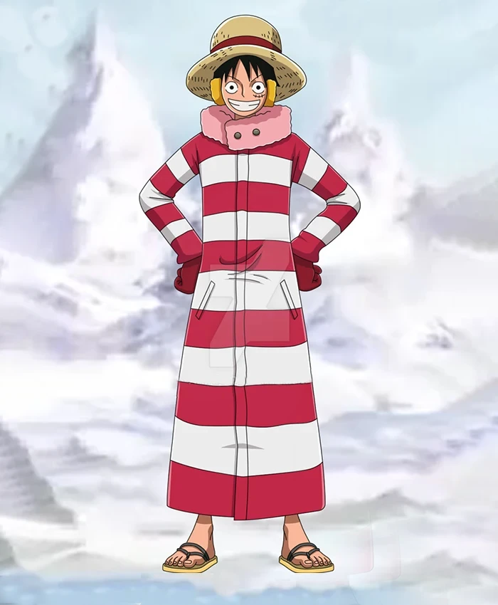 Luffy Winter Outfit