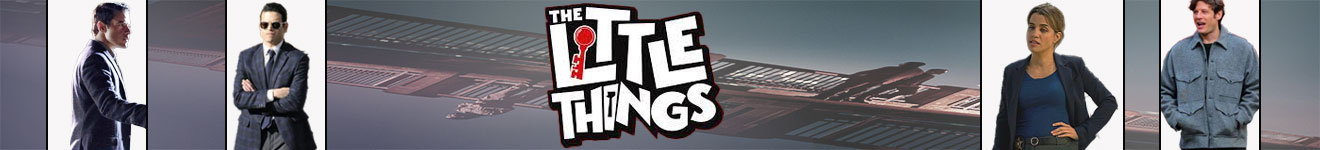 The Little Things Category Banner WJ