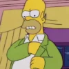 Simpsons Homer Green Jacket