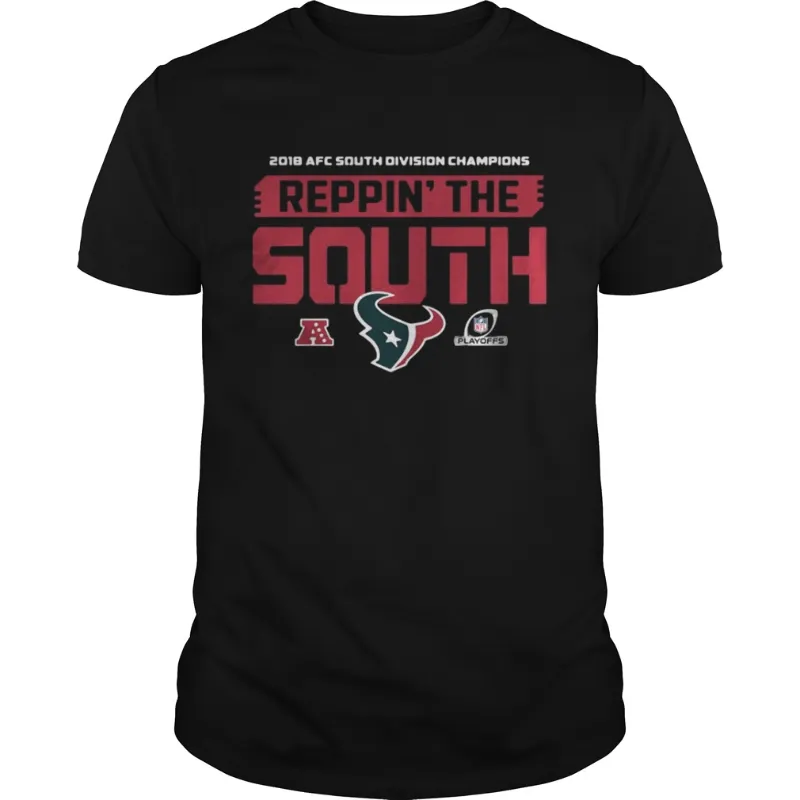 houston texans afc south champions