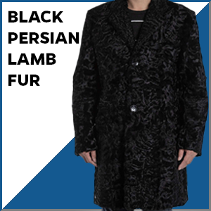 Men’s Persian Lamb Fur Mid Length Black Coat WJ